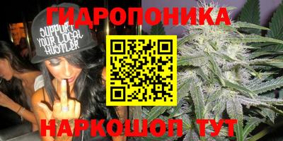 шишки Бузулук