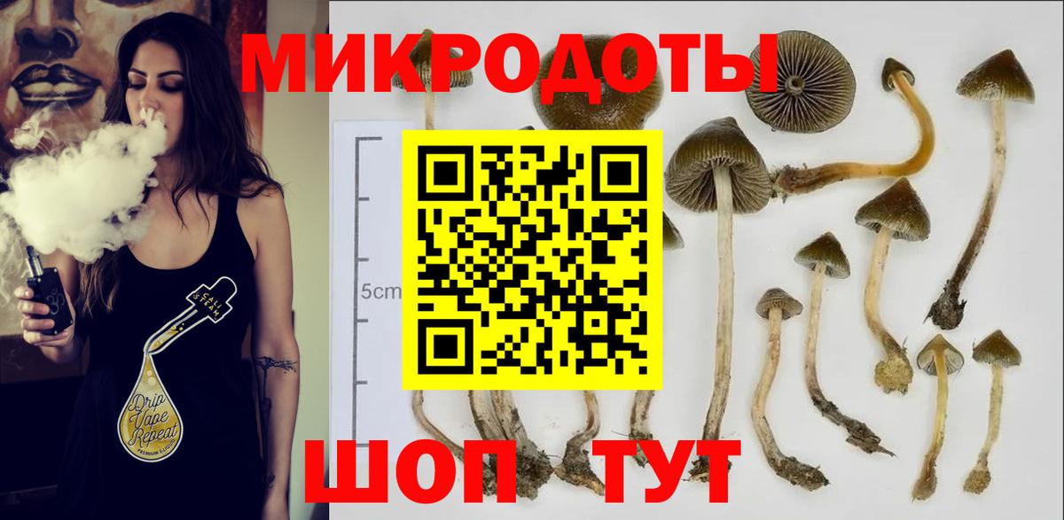 Галлюциногенные грибы Cubensis  Вход с VPN  Луховицы 